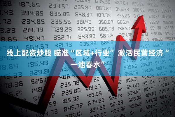 线上配资炒股 瞄准“区域+行业” 激活民营经济“一池春水”